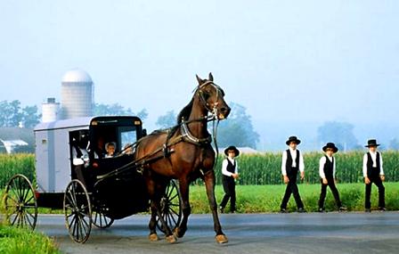 Amish Hoa Ky